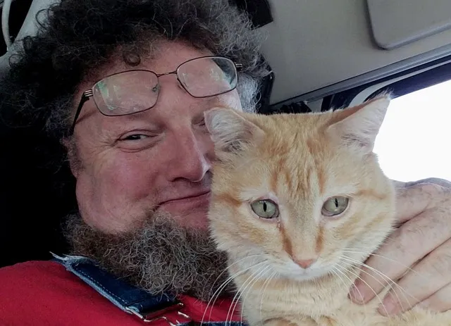 Gato viaja mais de 600 km sob carroceria de caminhão