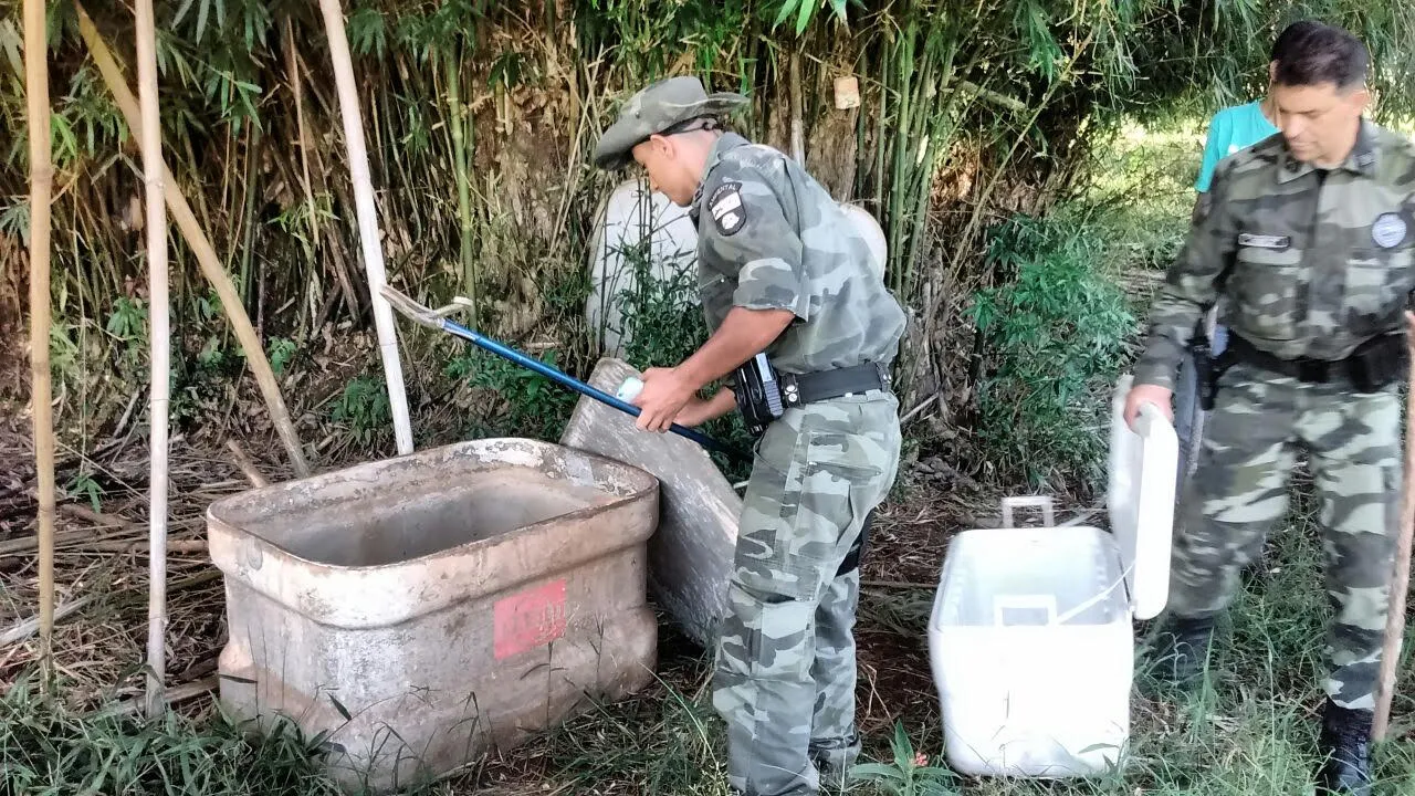 Homem é preso por criar 26 cascaveis irregularmente em Apucarana
