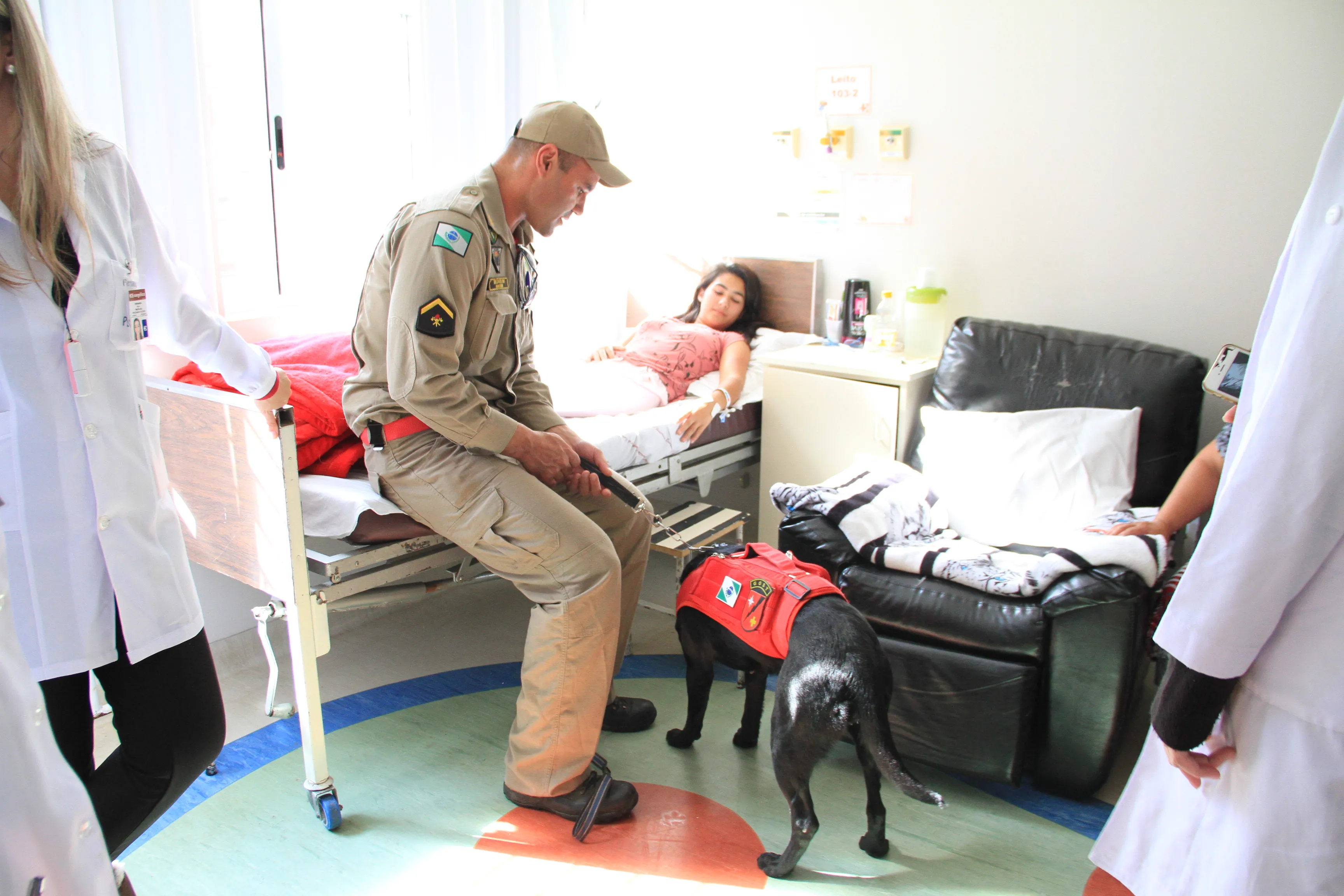 Cães dos Bombeiros ajudam na recuperação de crianças em hospital de Curitiba