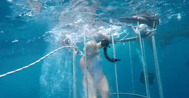 Vídeo de atriz pornô sendo atacada por tubarão é falso, diz mergulhador