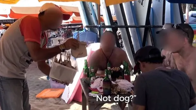 ONG denuncia que turistas desavisados estão comendo carne de cachorro sem saber