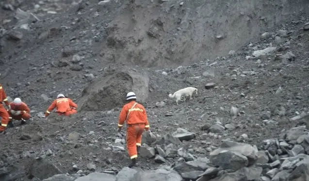 Cão procurando dono entre escombros na China emociona internautas; veja vídeo