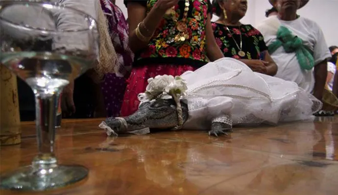 Prefeito mexicano casa-se com crocodilo em cerimônia mais do que bizarra