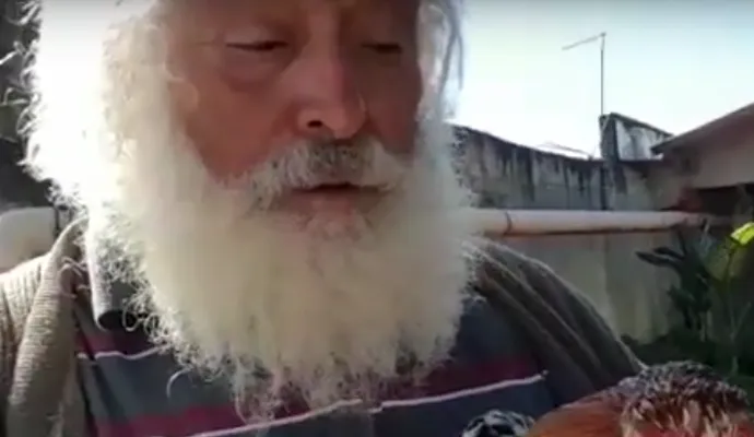 Homem tenta roubar galo do Papai Noel e é preso no Paraná