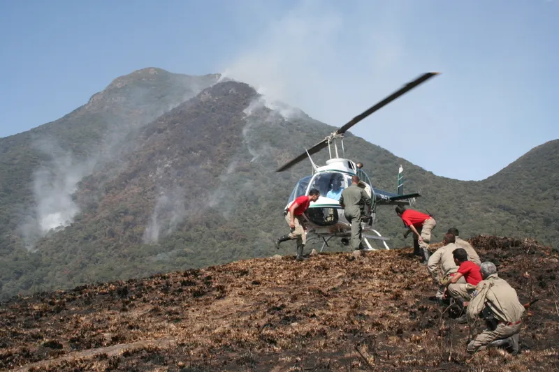 Geada e tempo seco aumentam riscos de incêndios florestais