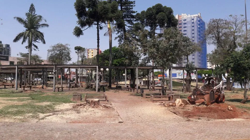Prefeitura corta árvores para readequar a Praça do Redondo