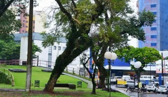 Prefeitura corta árvores para readequar a Praça do Redondo