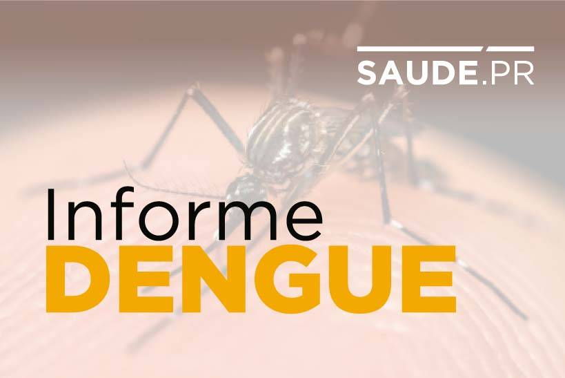 Estado sinaliza tendência de queda nos casos de dengue