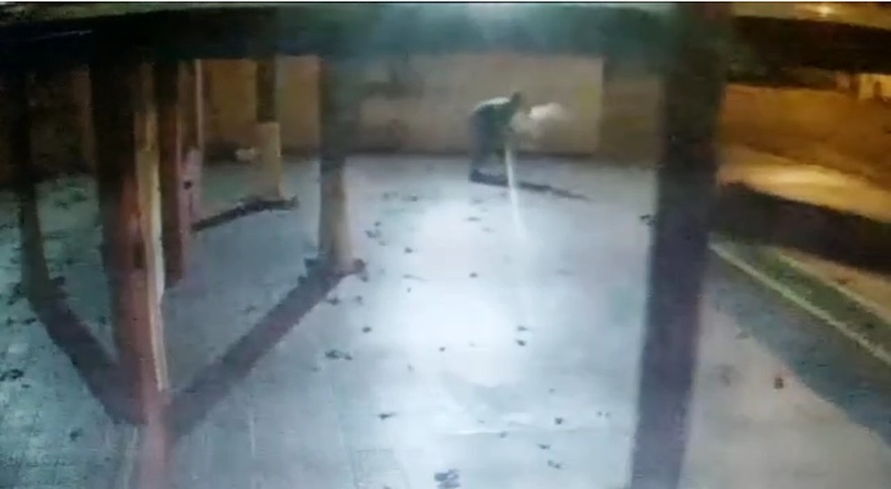 Homem é flagrado furtando pavão de escola em Londrina; assista