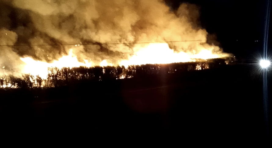 Incêndio em vegetação mobiliza bombeiros em São Pedro do Ivaí