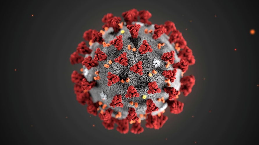 Mensagem diz que calor mata coronavírus: será que é verdade?