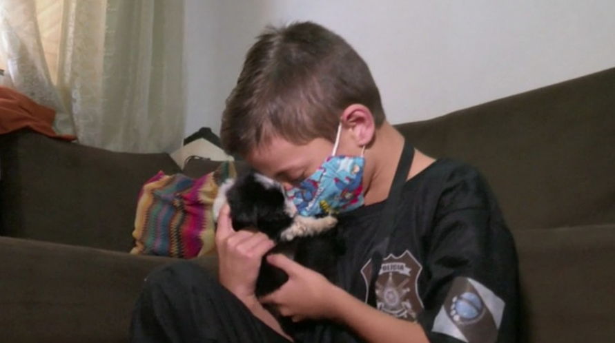 Criança que protege cães de rua é homenageado como 'guardião dos animais'