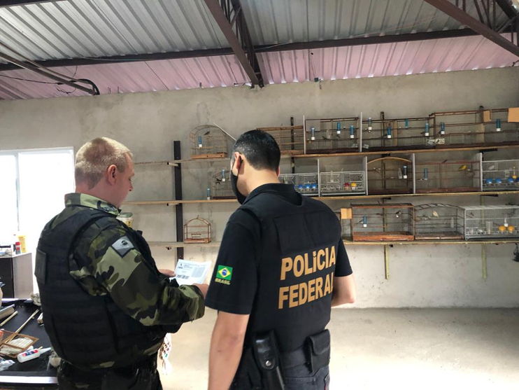 PF deflagra Operação Urutau 2 com desdobramento no Paraná