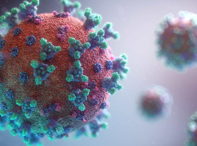 Marilândia do Sul chega aos 150 casos de coronavírus
