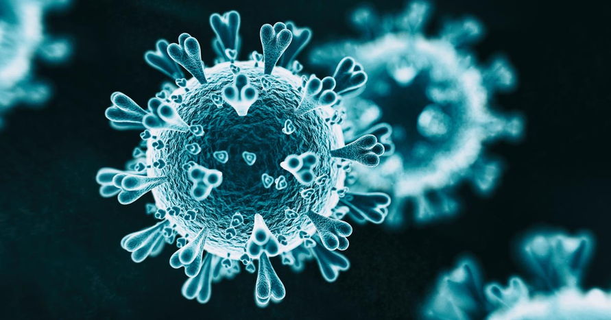 Apucarana soma 5.273 curados do novo coronavírus