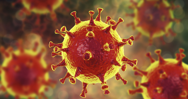 Kaloré confirma 3 novos casos de coronavírus neste domingo