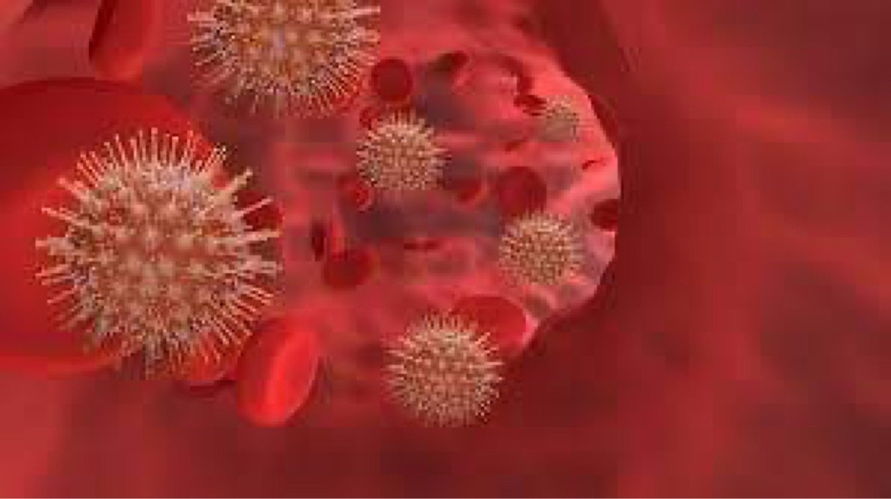 Arapongas registra 4 óbitos e 110 novos casos de coronavírus