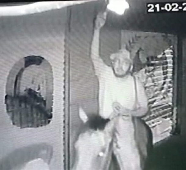 Ladrão 'cowboy' furta lâmpadas a cavalo em cidade do PR; Vídeo