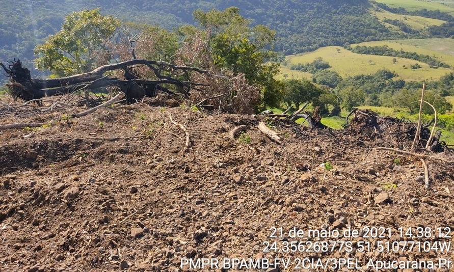 PM Ambiental confirma denúncia de desmatamento na região