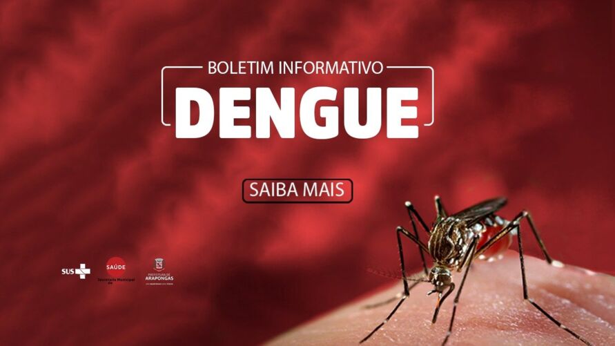 Arapongas registra 1.373 casos de dengue