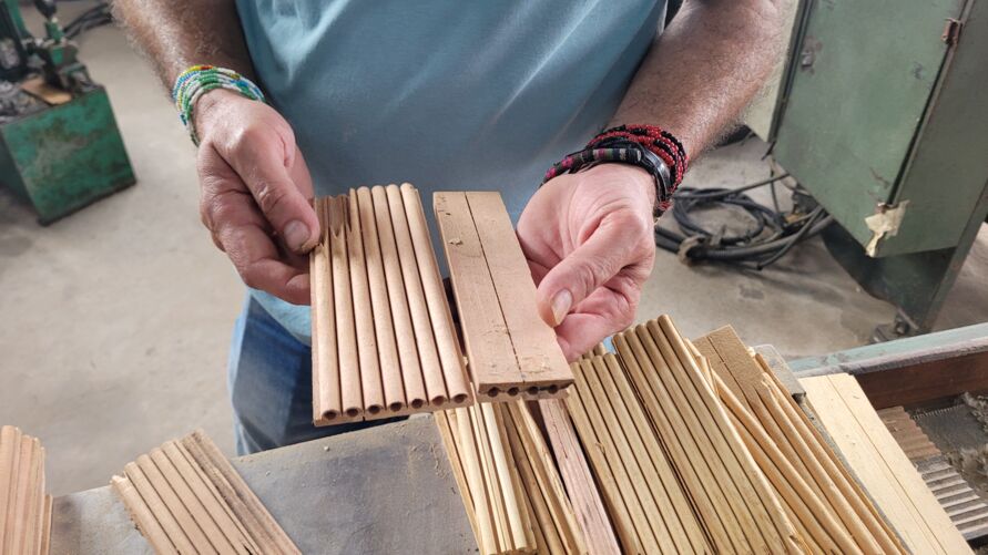 Empresa aposta nos canudos feitos de pinus para chegar ao mercado internacional