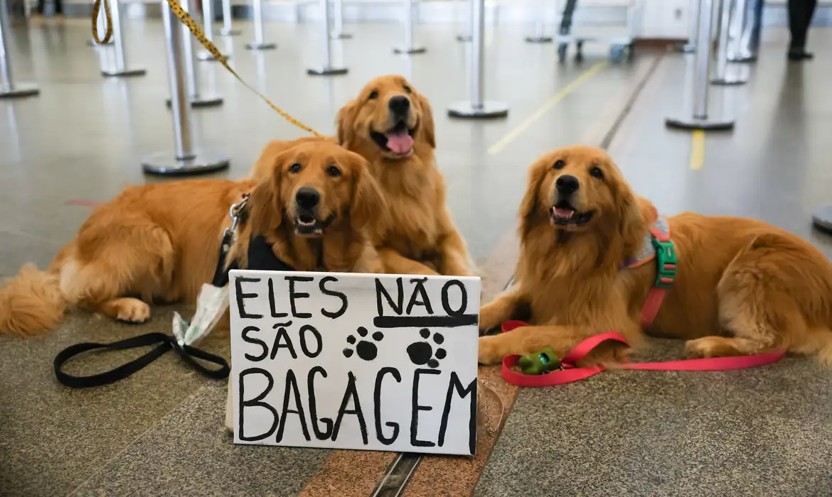 Proteste ocorreu neste domingo em Brasilia
