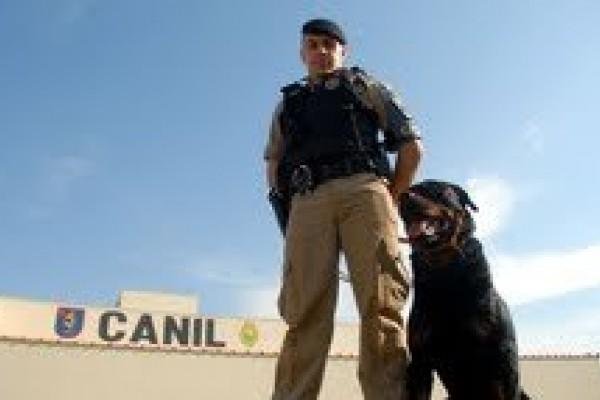 Arapongas promove evento sobre emprego de cães nas ações policiais