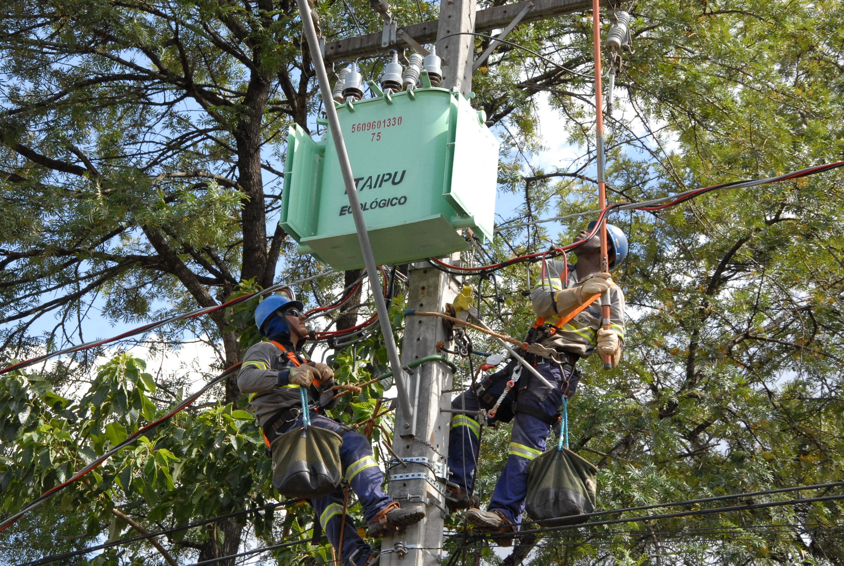 ​A Companhia Paranaense de Energia Elétrica (Copel) realiza obras neste início de ano para ampliação e melhoria da rede elétrica nos municípios de Apucarana e Arapongas - Foto: TNONLINE