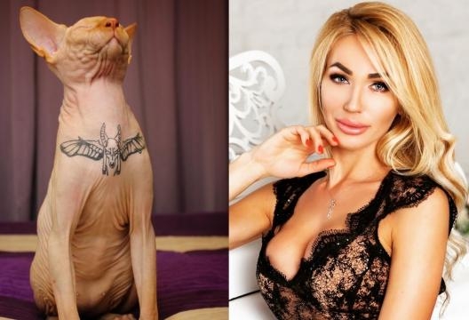Após tatuar gato de estimação, modelo é acusada tortura e maus-tratos - Foto: Instagram/Elena Ivanickaya