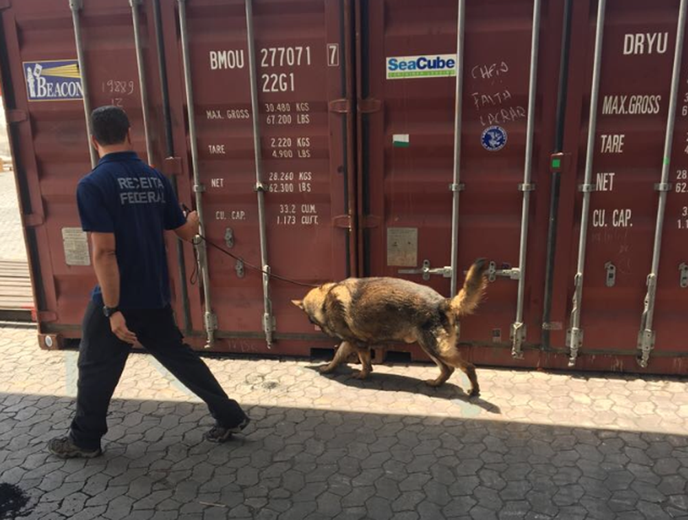 Cães ajudaram a encontrar droga em contêiner (Foto: Divulgação/Receita Federal )