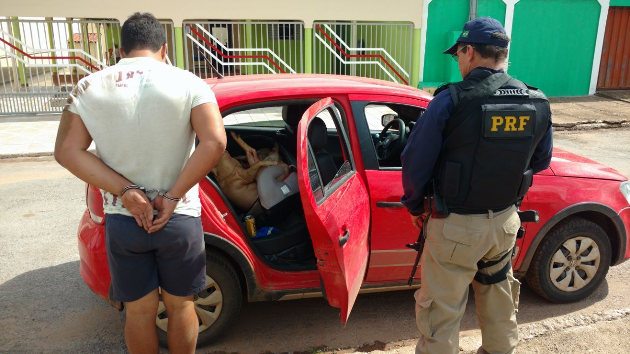 Motorista bêbado é preso carregando porco em cadeirinha de bebê - Foto: jornalopcao.com.br