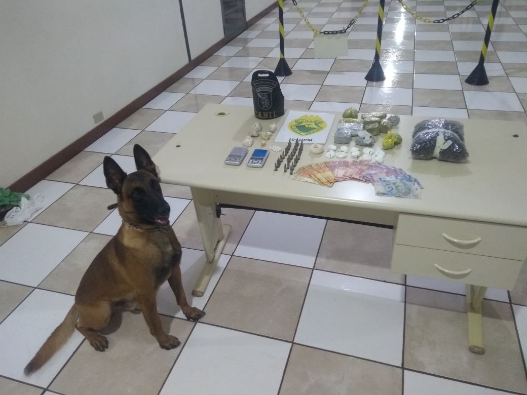 Cão Aço apontou que havia drogas dentro da TV. Foto: Divulgação/PM