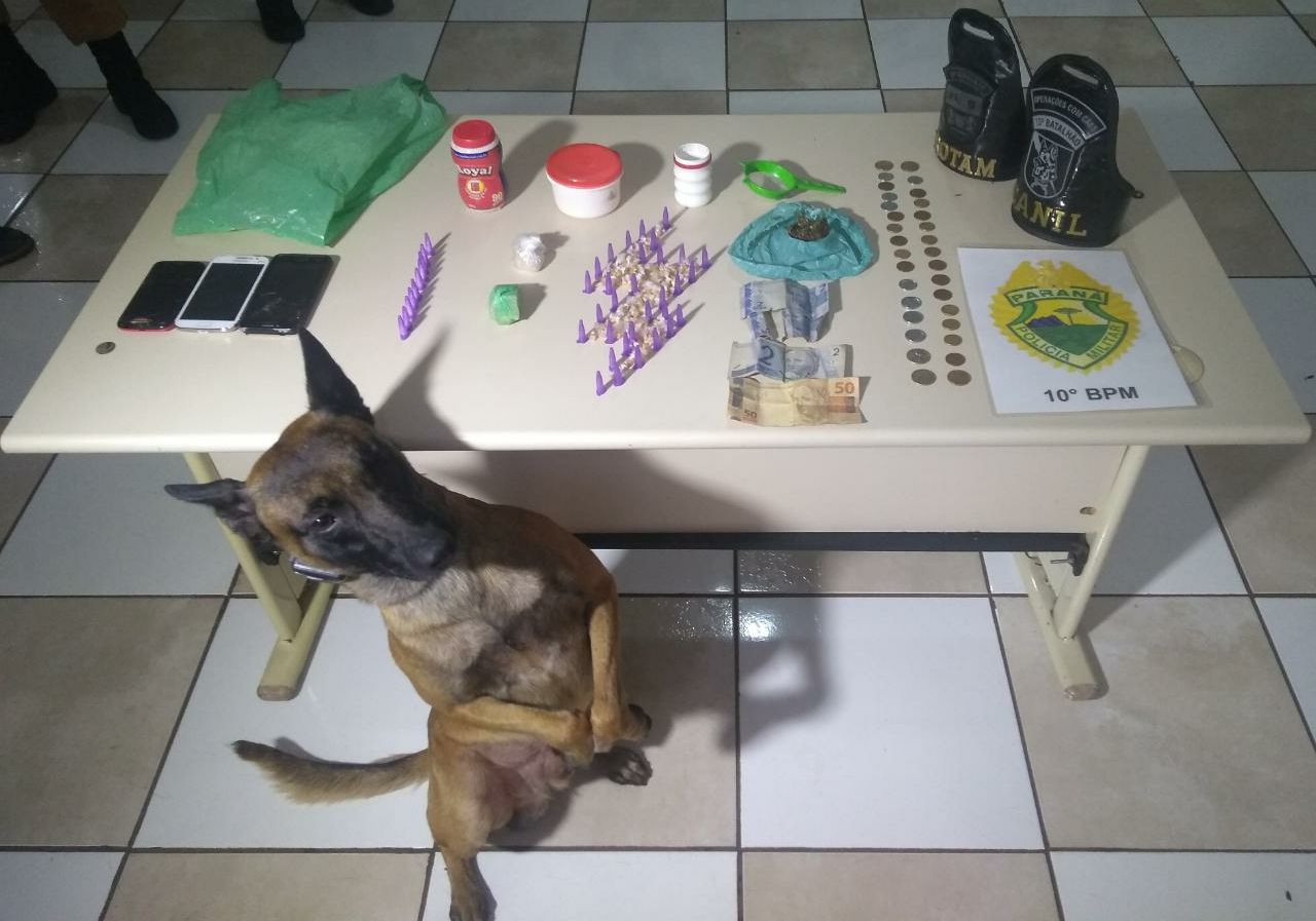 Cão farejador auxiliou a PM a localizar e apreender mais de 400 pedras de crack em Apucarana - Foto: Divulgação/PM