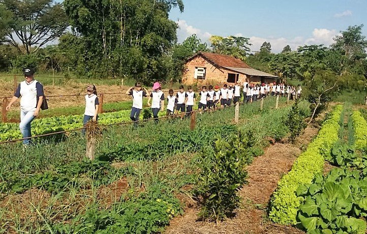 Projeto de Escola Municipal leva alunos para conhecer produção da agricultura familiar
