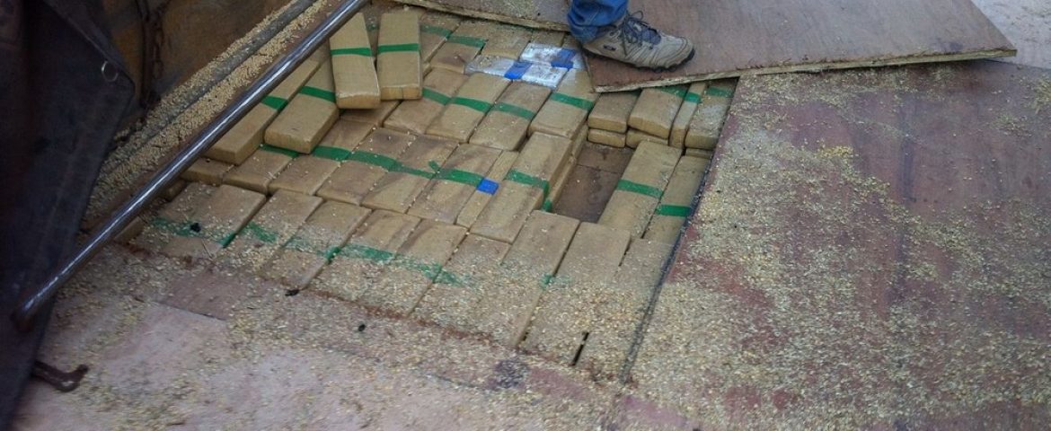 As 7 toneladas de maconha estavam em meio a carga de soja  - Foto: PF/Divulgação