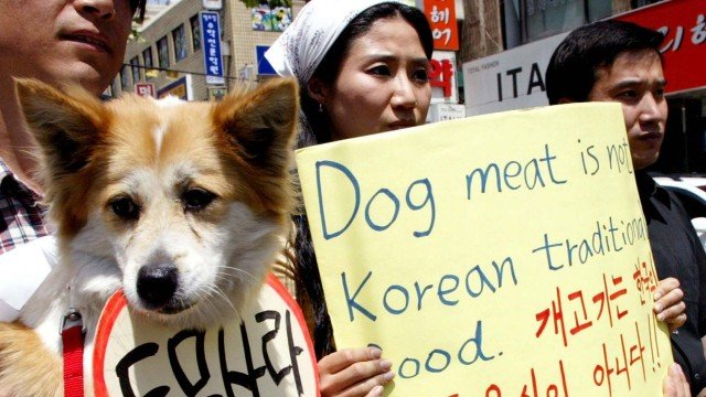 Manifestação contra o consumo da carne de cães na Coreia do Sul Foto: Lee Jin-Man / Reuters