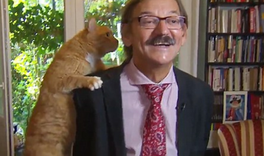Vídeo mostra gato interrompendo professor durante entrevista ao vivo na TV - Foto: Reprodução