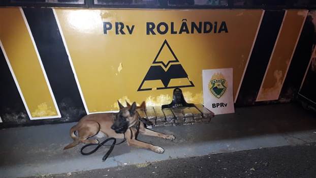 Polícia apreende 27,325 kg de maconha em Rolândia 
