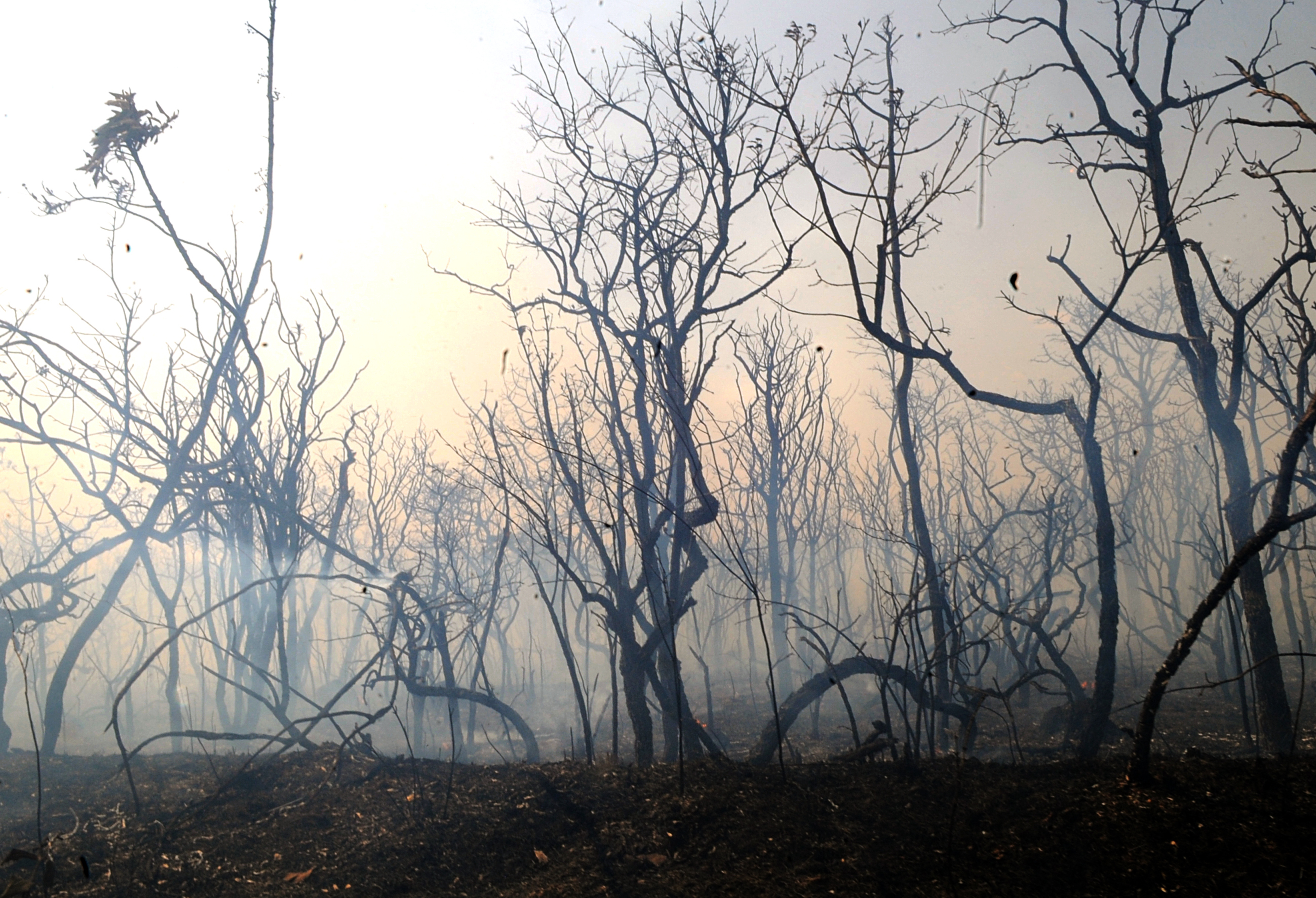 Propriedade rural é devastada por incêndio, em São Pedro do Ivaí