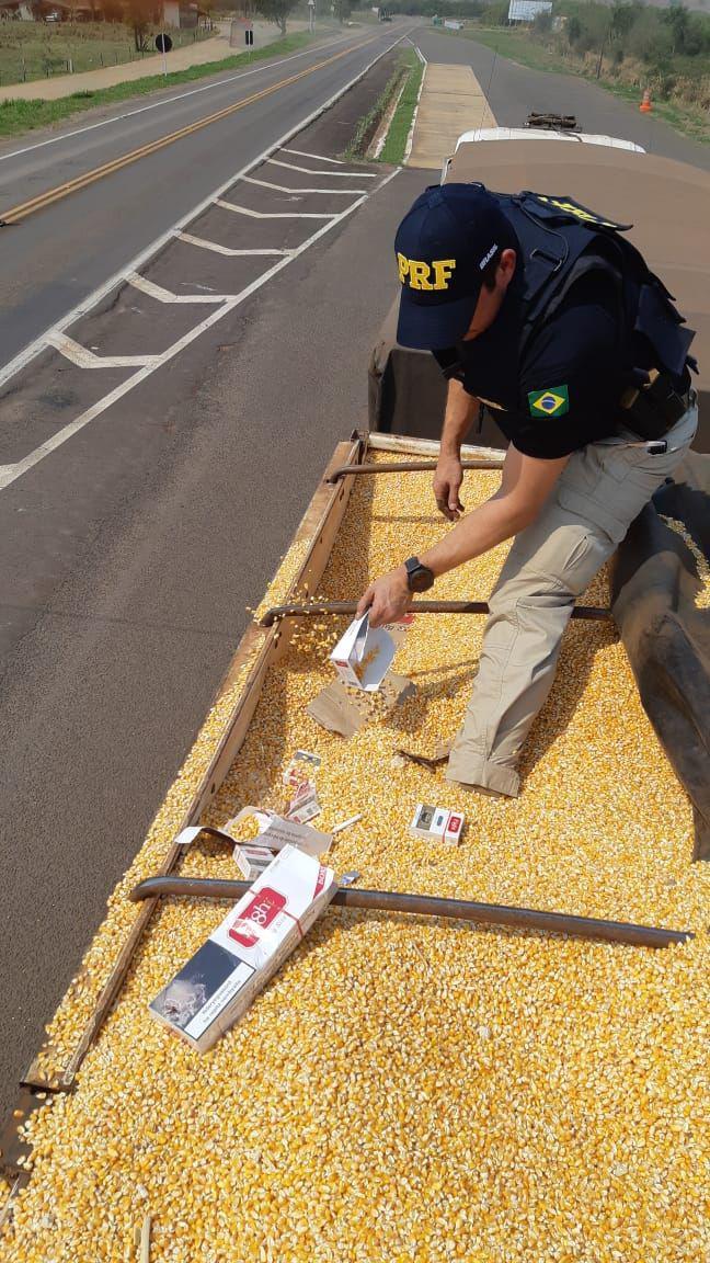 Abordado na BR-487 em Alto Paraíso (PR), motorista foi preso em flagrante por contrabando; carga estava escondida sob camada de milho. (Foto: PRF)