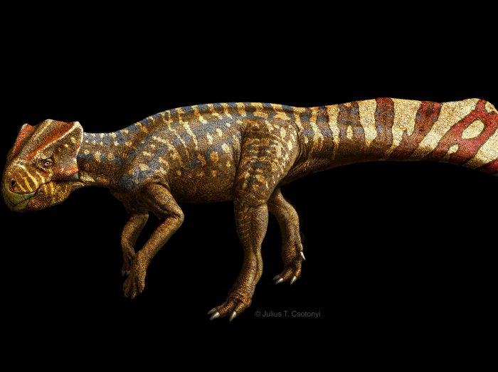 "Mini" dinossauro tinha 1,67 m e pesava até 45 kg; criatura viveu há 103 milhões de anos