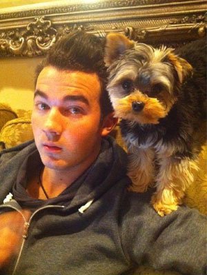 Kevin Jonas ao lado do seu cãozinho