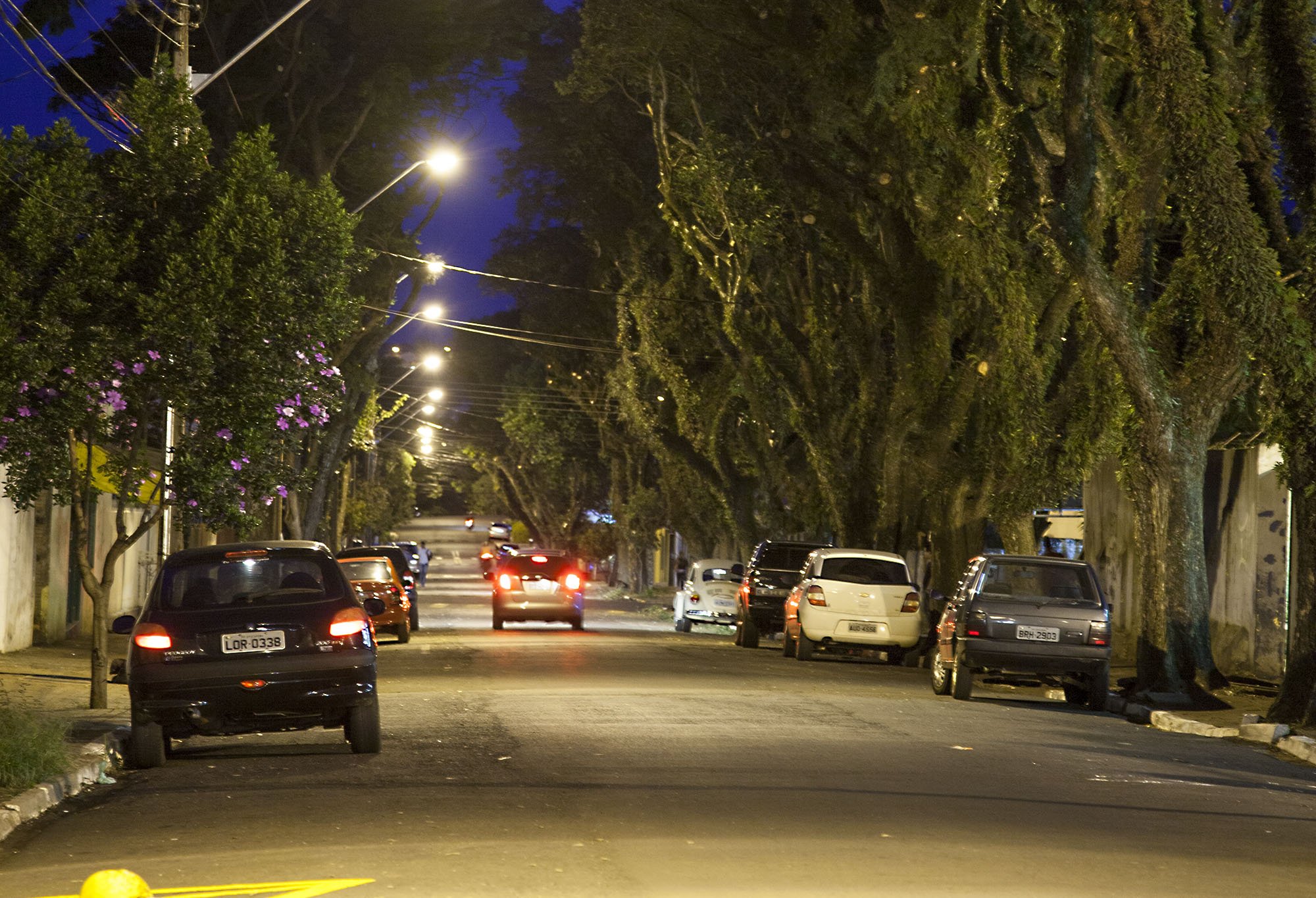 O prefeito Beto Preto voltou a ressaltar a importância da poda de árvores em vários pontos da cidade