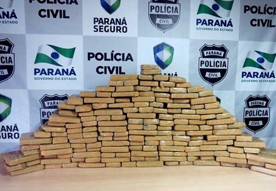 A Divisão Estadual de Narcóticos (Denarc) da Polícia Civil apreendeu 12,67 toneladas de drogas em 2013, entre maconha, cocaína, crack, haxixe, ecstazy (Foto: Denarc)