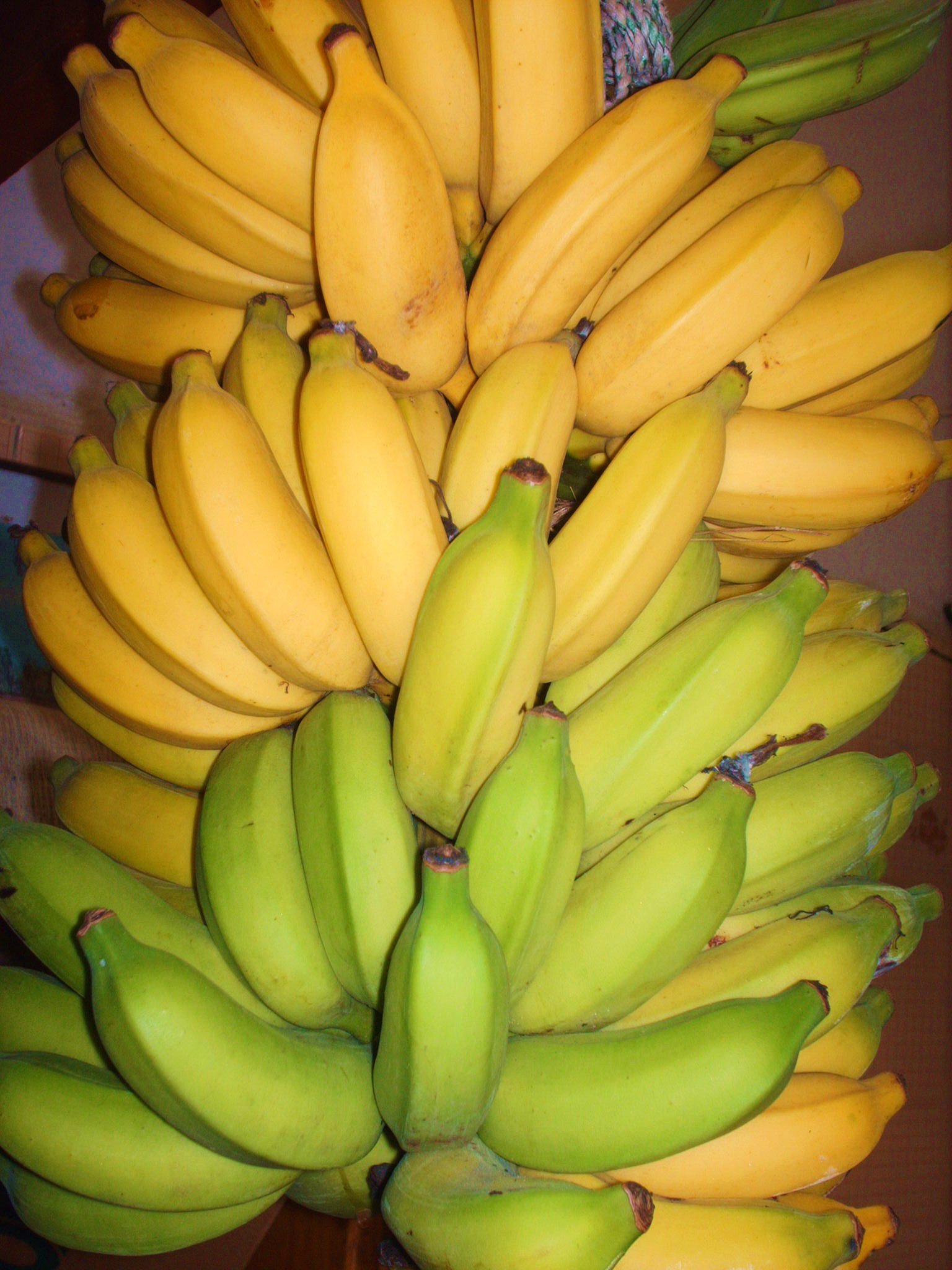 Proteína da banana pode ser proteção mais barata e 'mais ampla' contra o HIV