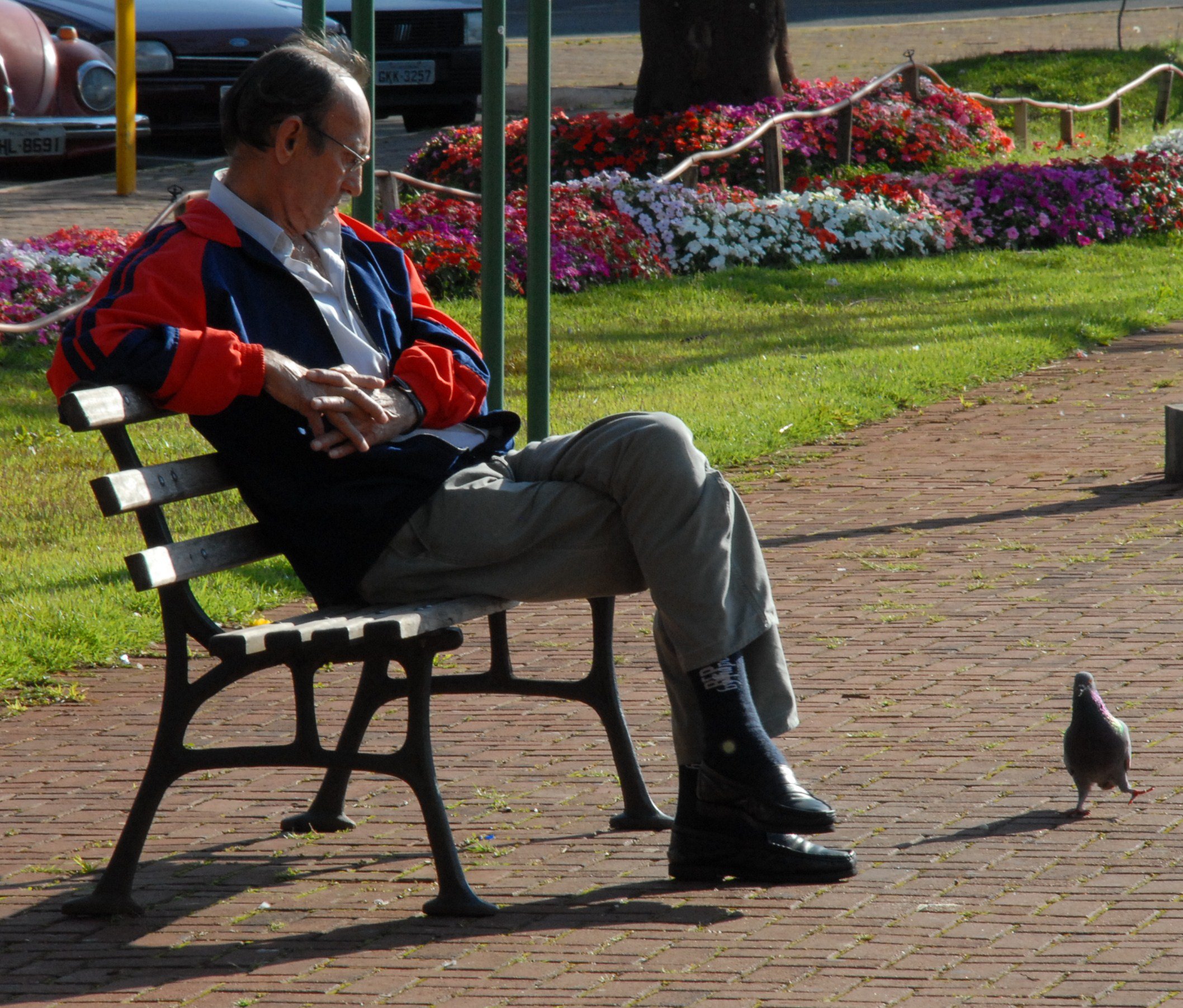 Senhor parece conversar com um pombo na Praça Rui Barbosa