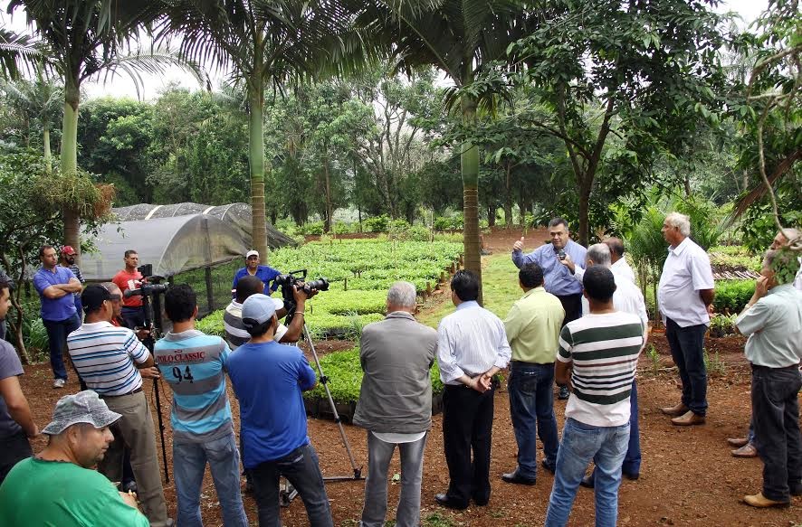 Programa Terra Forte repassa 30 mil mudas a produtores rurais  - Foto: Assessoria de imprensa