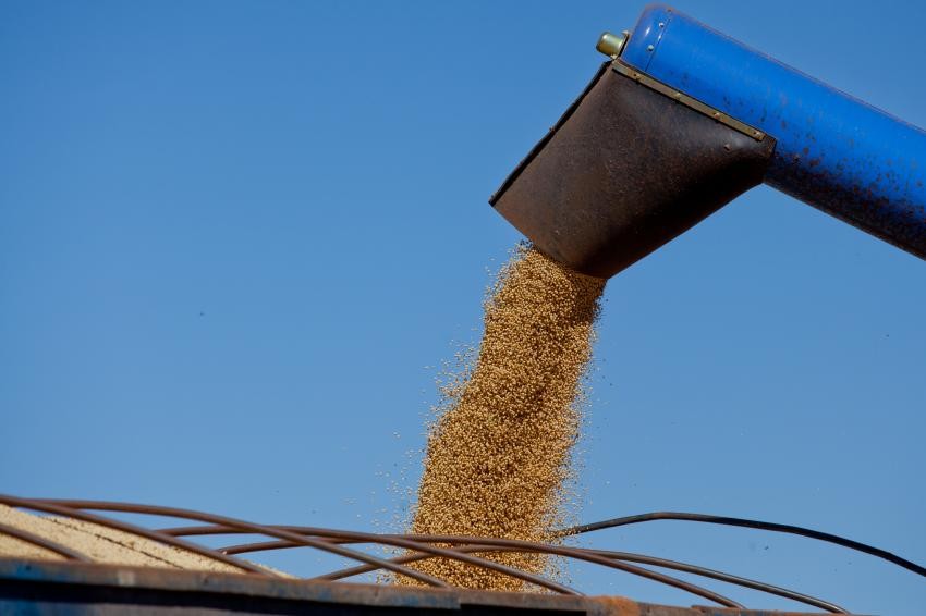 Paraná lidera produtividade de soja e milho no País, diz IBGE -imagem ilustrativa-arquivo TNONLINE
