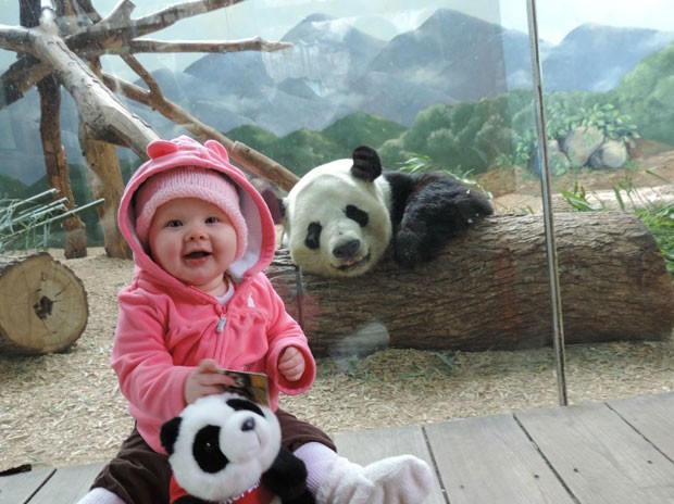 Panda virou hit ao sorrir para foto com bebê (Foto: Reprodução/Imgur/FreedomSTR)