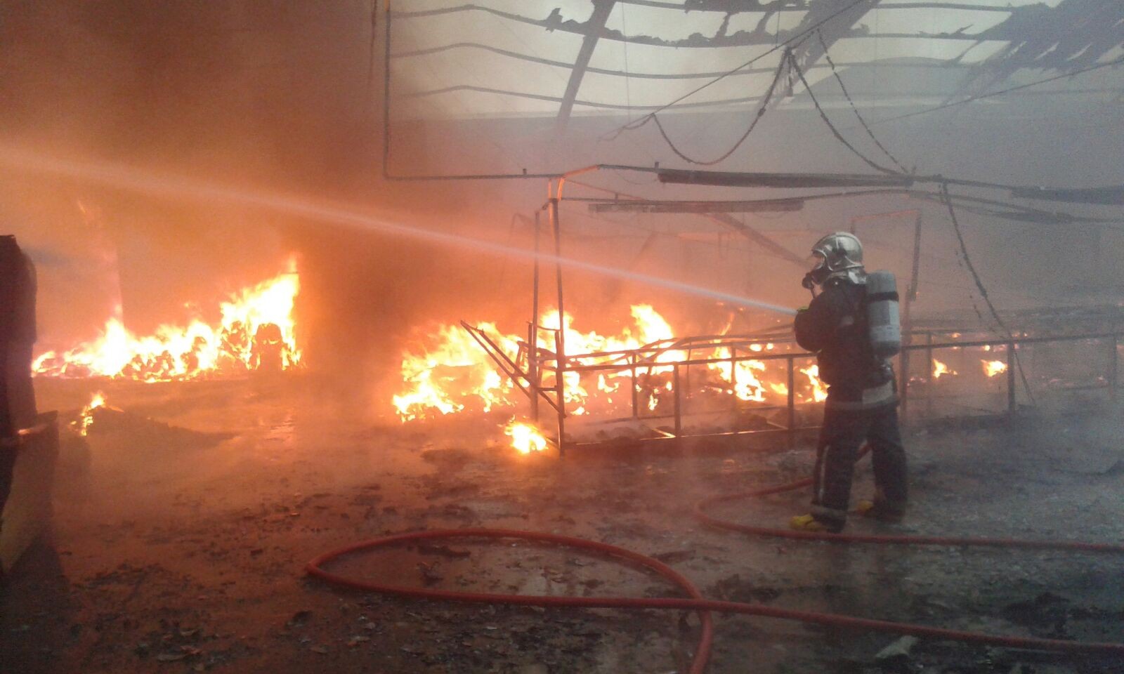​Incêndio em Arapongas mobiliza 3 equipes dos Bombeiros